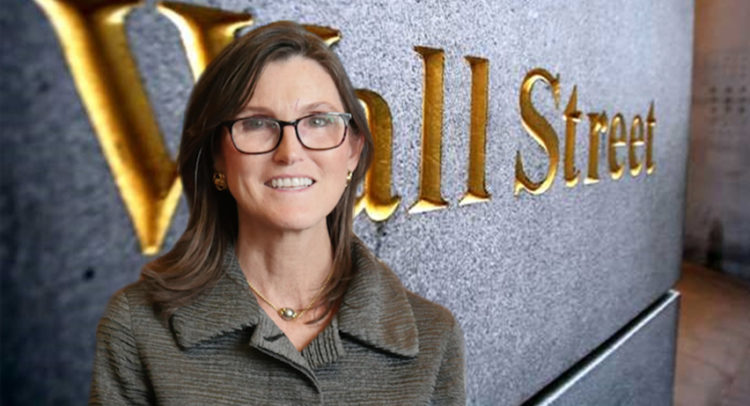 Cathie Wood, la reina de la tecnología en Wall Street